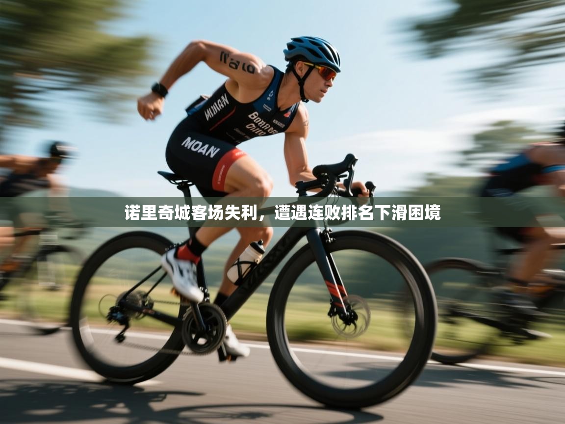 开云体育客服在线咨询-诺里奇城客场失利,遭遇连败排名下滑困境 第3张