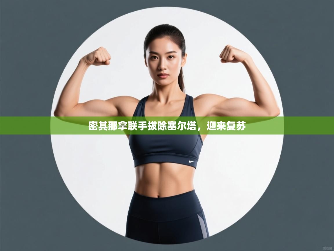 开云体育工单提交入口-密其那拿联手拔除塞尔塔，迎来复苏  第2张