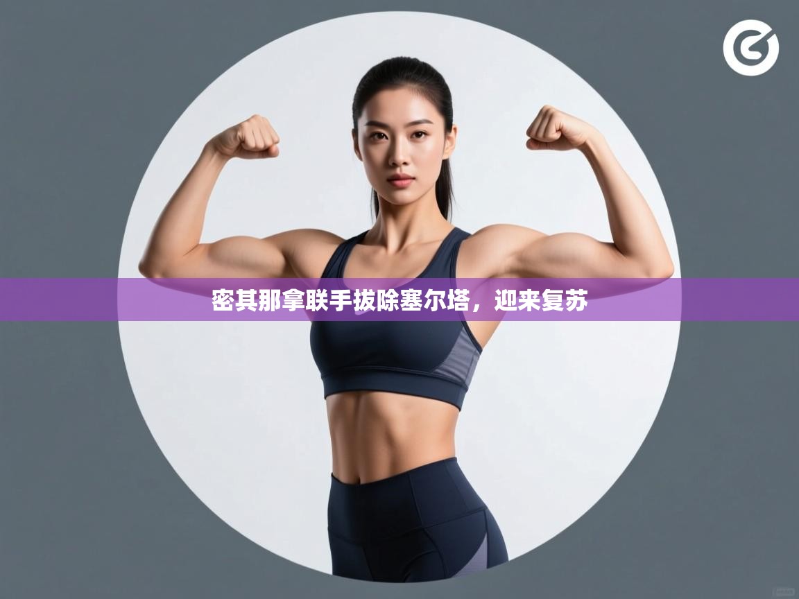 开云体育工单提交入口-密其那拿联手拔除塞尔塔，迎来复苏  第4张