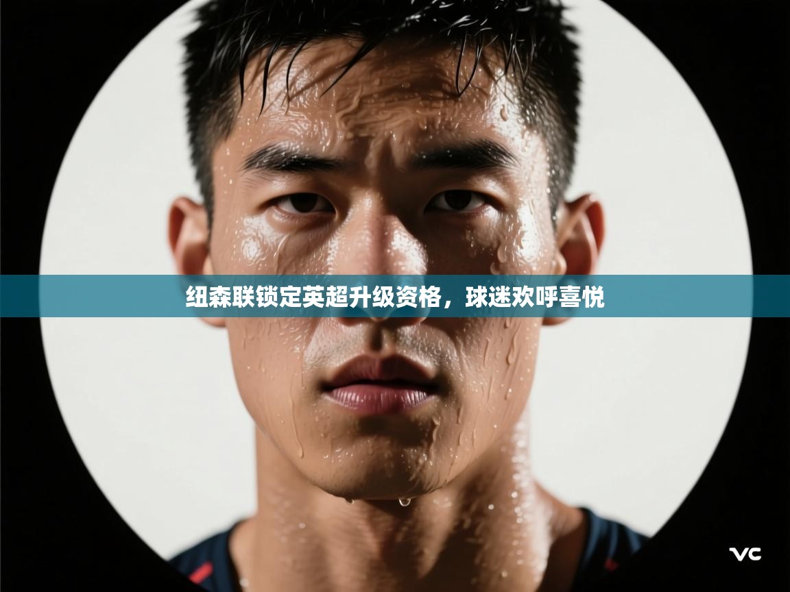 开云体育在线网址-纽森联锁定英超升级资格，球迷欢呼喜悦  第1张