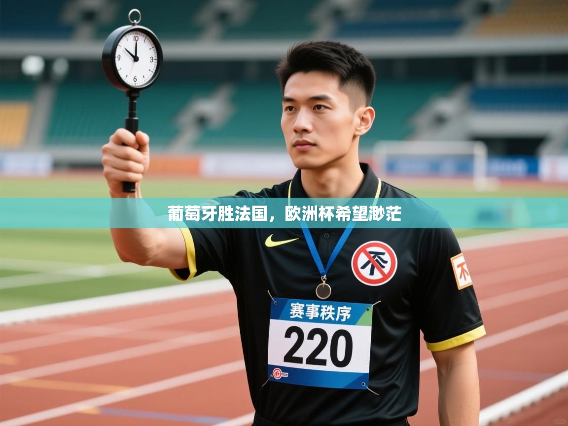 开云平台-葡萄牙胜法国，欧洲杯希望渺茫  第3张