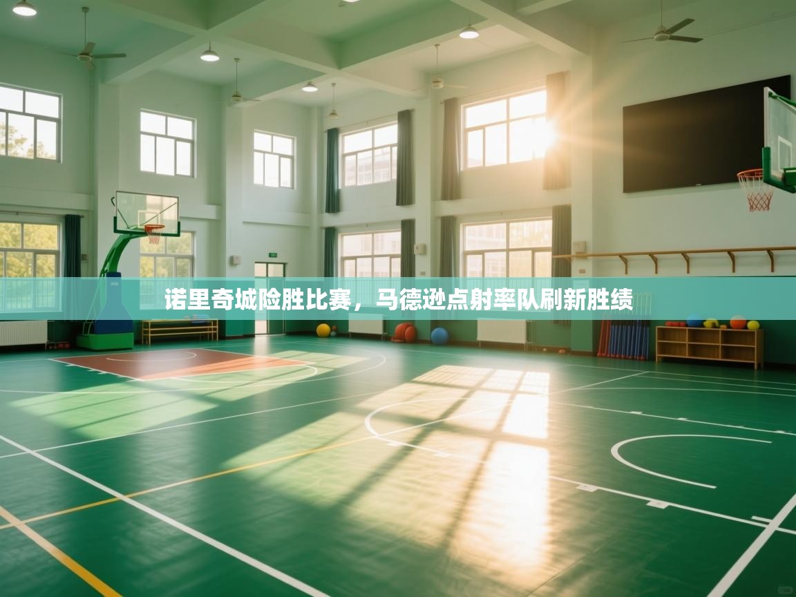 开云体育在线登录-诺里奇城险胜比赛，马德逊点射率队刷新胜绩  第4张