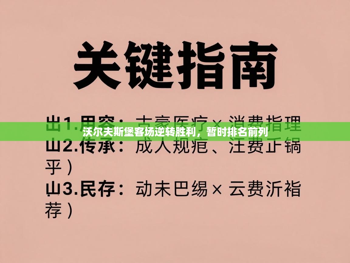 开云体育app官网下载地址-沃尔夫斯堡客场逆转胜利，暂时排名前列  第2张