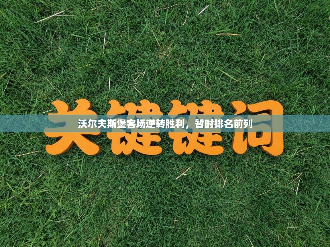 开云体育app官网下载地址-沃尔夫斯堡客场逆转胜利，暂时排名前列  第4张