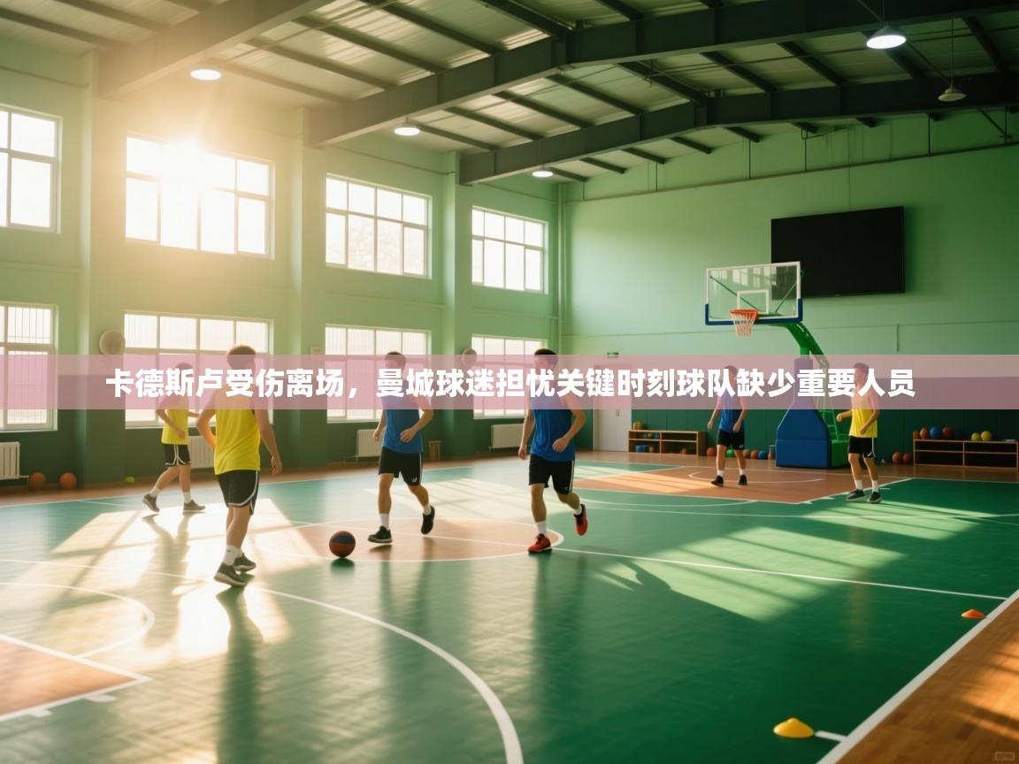 开云体育app安装-卡德斯卢受伤离场，曼城球迷担忧关键时刻球队缺少重要人员  第3张